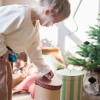 Wigiwama Festive & Gingerbread Box Set