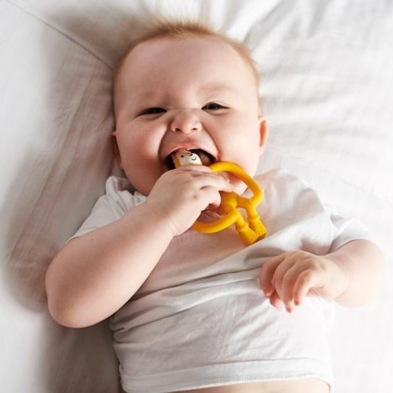 Matchstick Monkey Teething Starter Set Οδοντοφυίας Lion 4τμχ Matchstick Monkey Teething Starter Set Οδοντοφυίας Lion 4τμχ