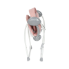 Lorelli Ηλεκτρικό Relax Μωρού Κούνια Portofino Peach Beige με Μουσική 2 σε 1 για Παιδί έως 9kg Lorelli Ηλεκτρικό Relax Μωρού Κούνια Portofino Peach Beige με Μουσική 2 σε 1 για Παιδί έως 9kg