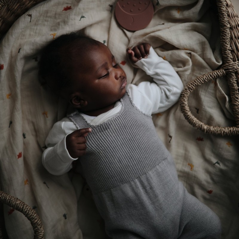 μουσελίνα μωρού με αυτοκινητάκια