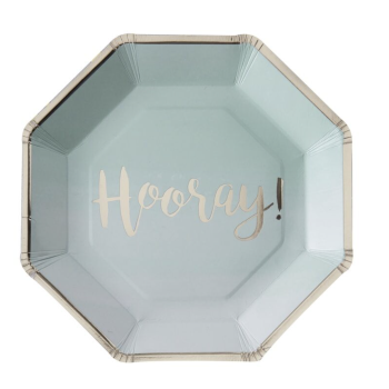 Πιάτα πάρτι σε χρώμα μέντας