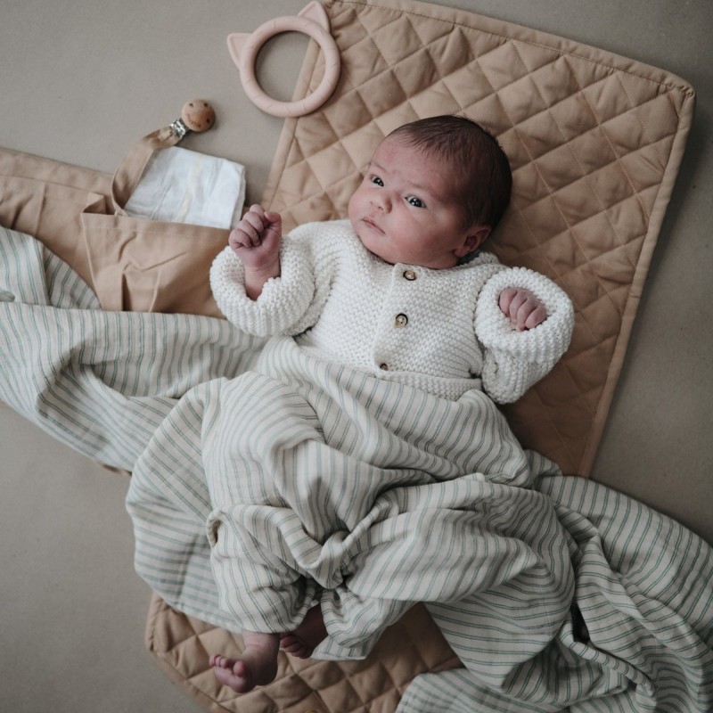 ροζ φορητή βρεφική αλλαξιέρα