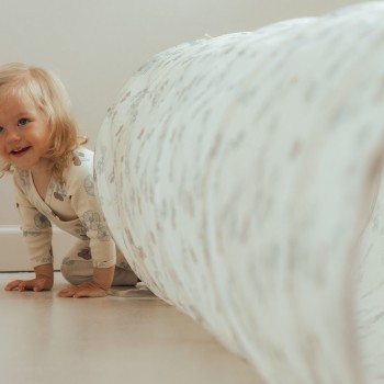 That’s Mine Activity Tunnel Flower and Berries That’s Mine Activity Tunnel Flower and Berries